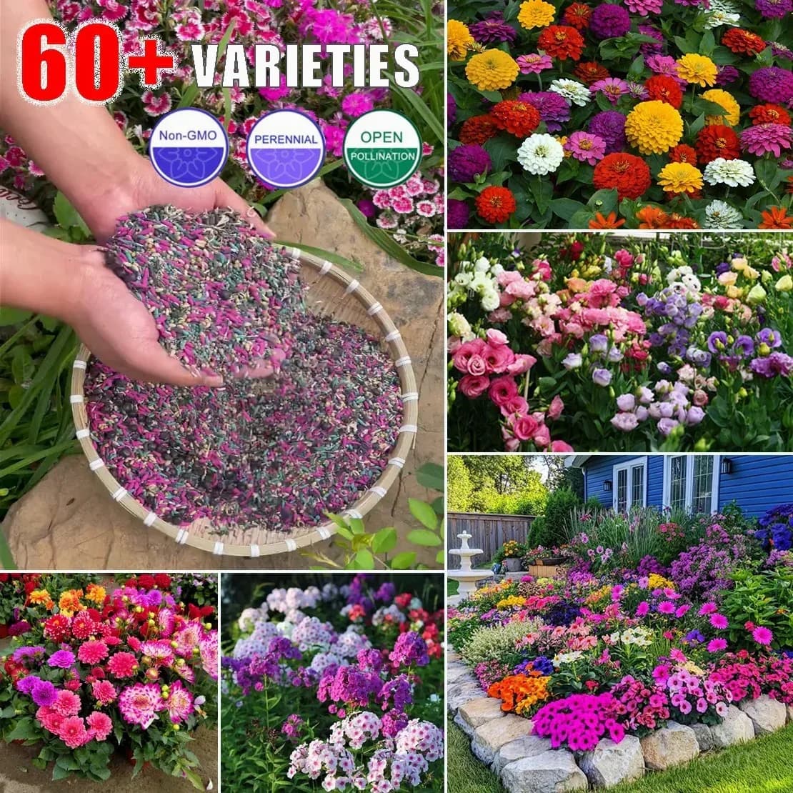 Four Seasons Wildflower Seeds, 60+ Mixed Perennial Varieties - Alt