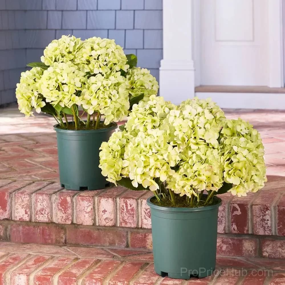 Artificial Outdoor Hydrangea Flowers - UV Resistant, Waterproof, Windproof - View 8