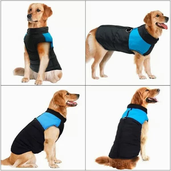 Winter Warm Waterproof Dog Vest with Zipper, Blue, Size S - Main