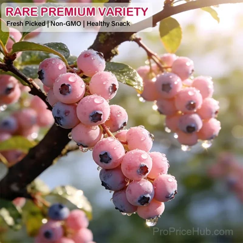 Premium Pink Blueberry Seeds for Planting - View 5