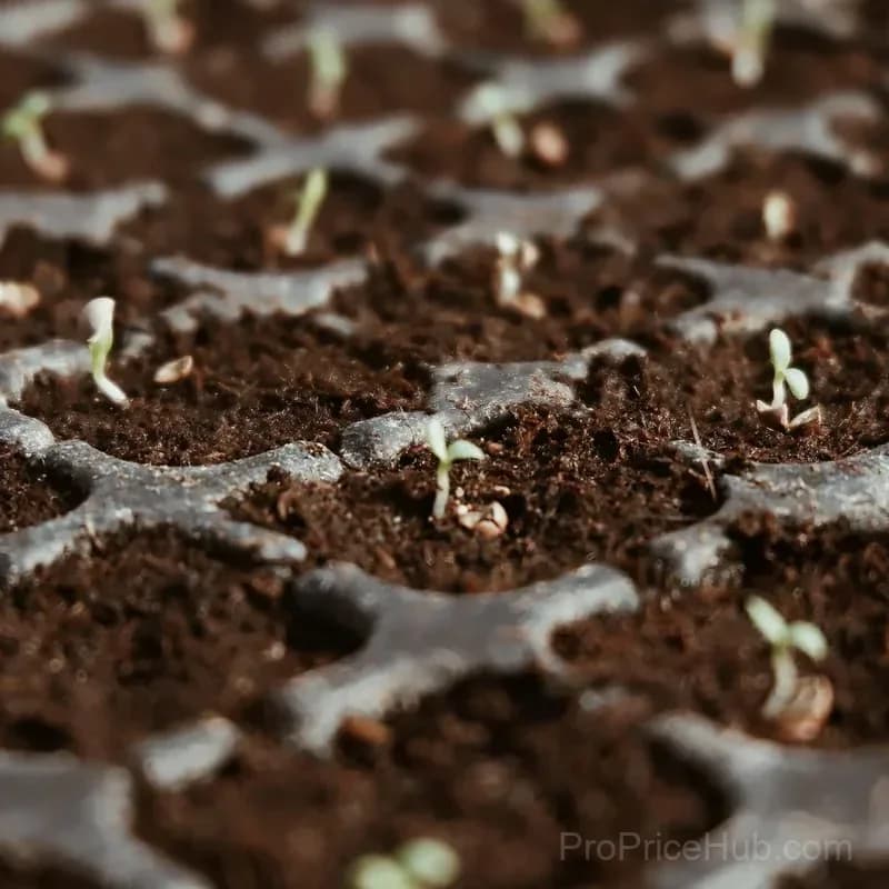 Organic Coconut Coir Brick for Plants, 1 Pack - View 10