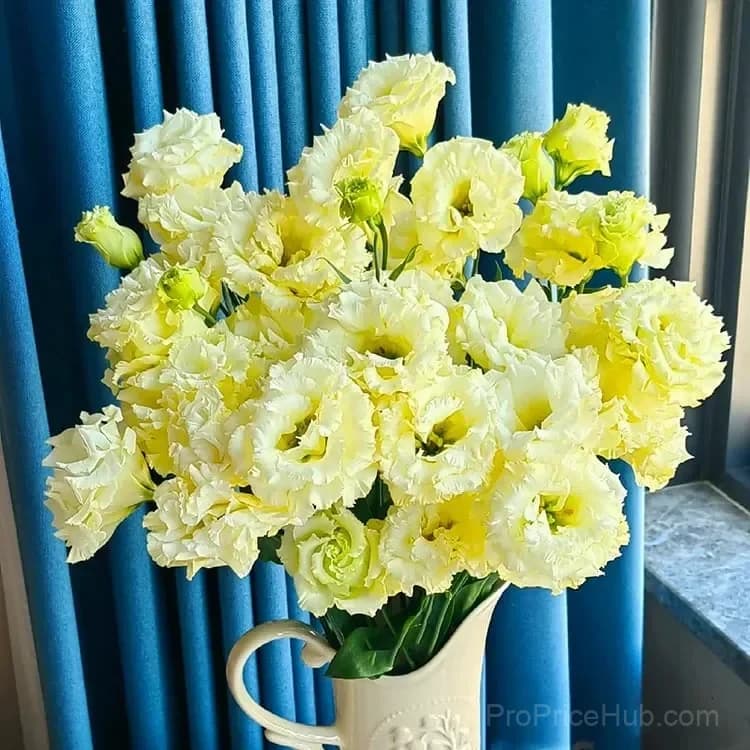 Eustoma Thornless Rose Lisianthus Seeds - 7 Day Germination - View 38