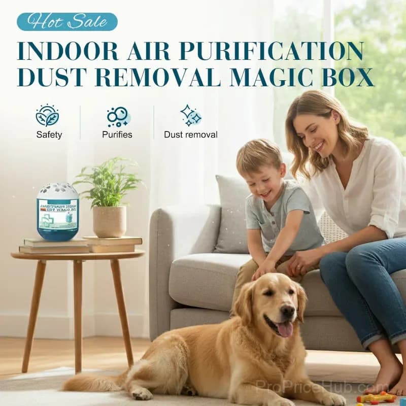 Indoor Air Purifier Dust Removal Magic Box, 1 Piece - Main