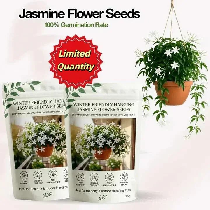 Double Jasmine Seeds – Double-Flowered Variety for Garden - Main