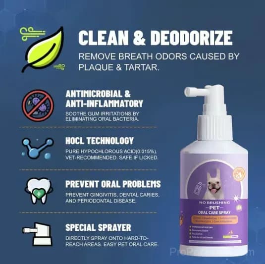 Teeth Cleaning Spray for Dogs & Cats, 50ml - Alt