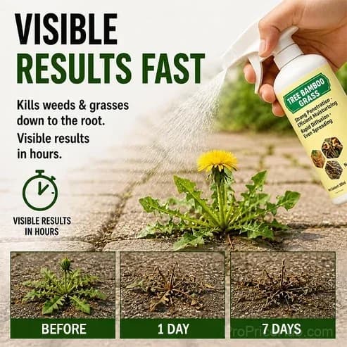 🔥Fast-Acting Natural Weed & Grass Killer Spray - Alt