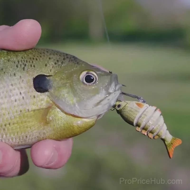 Lifelike Fishing Lures for Freshwater and Saltwater - Alt
