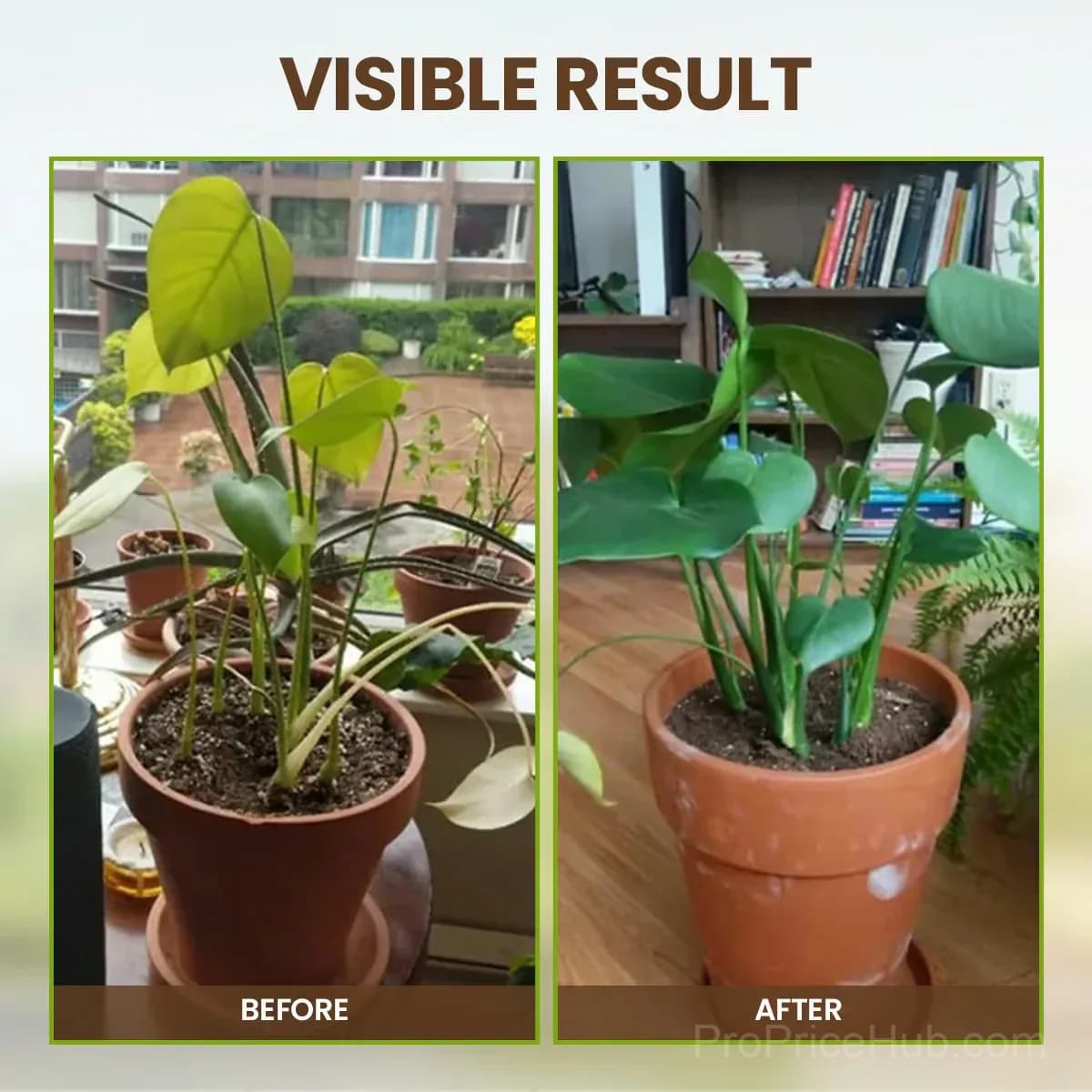 Soil Pro Activator – Garden Soil Amendment - View 4