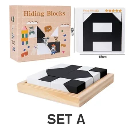 Hidden Building Blocks Puzzle Board Game Set A, 16 Blocks + 80 Cards - Main