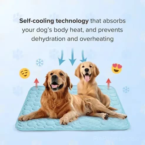 Pet Cooling Mat for Dogs and Cats, Blue XS 40 x 30 cm - View 4