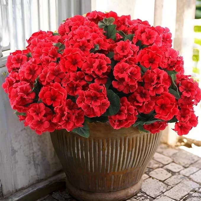 Artificial Geranium Flowers for Outdoors - Main