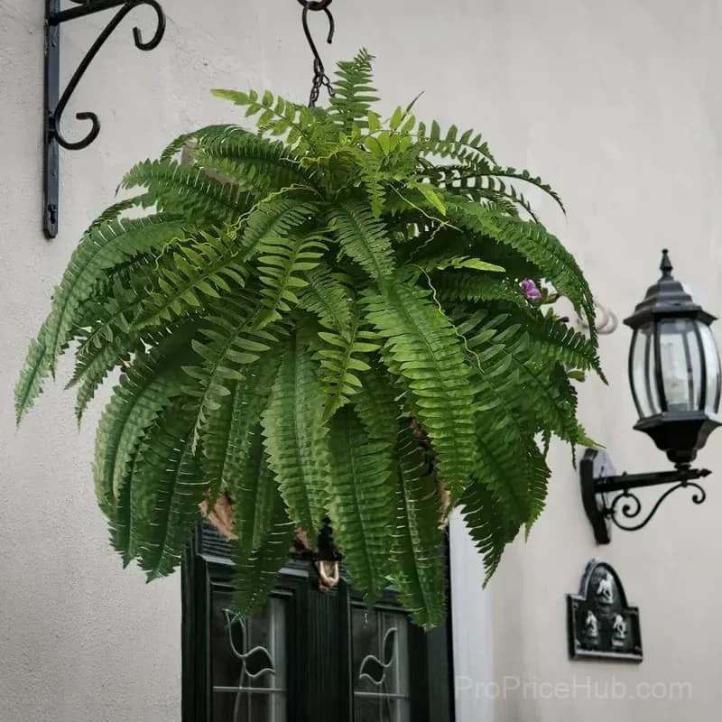 UV Resistant Lifelike Artificial Boston Fern - View 12