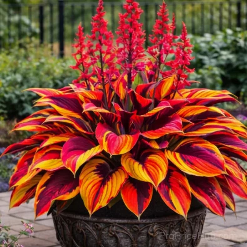 Hosta Bulbs for Shade - Easy Lush Perennial Growth - Alt