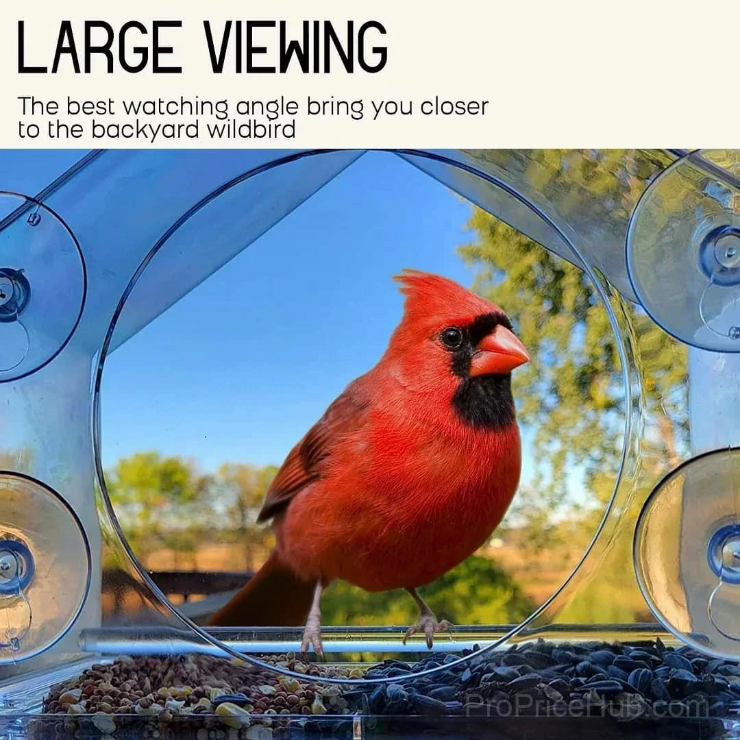 Outdoor Window Bird Feeder - Alt