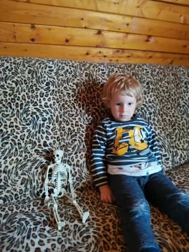 Poseable Hanging Human Skeleton Halloween Party Prop - View 3
