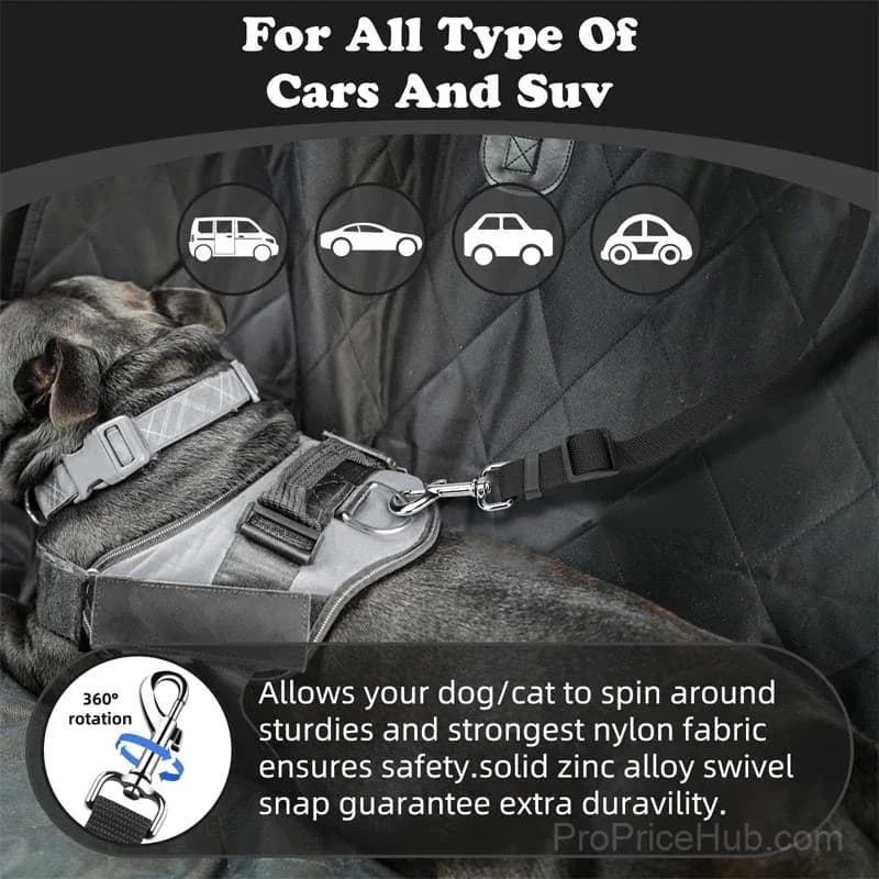 2-in-1 Dog Seatbelt and Leash - View 6