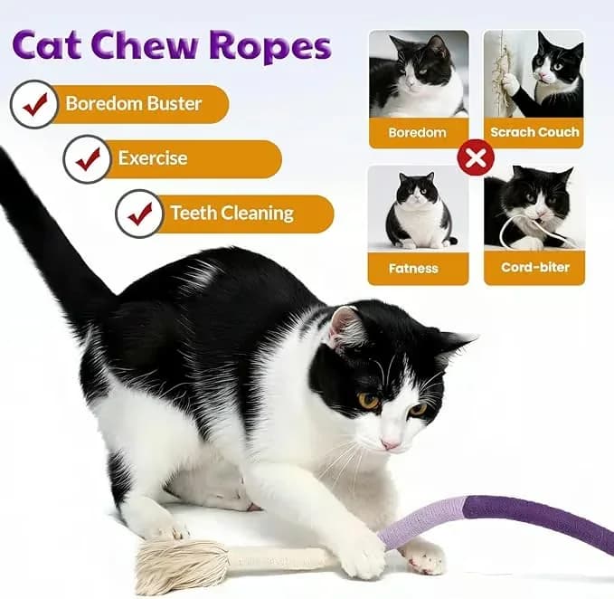 Orange Cat Chewing Rope Toy - View 4
