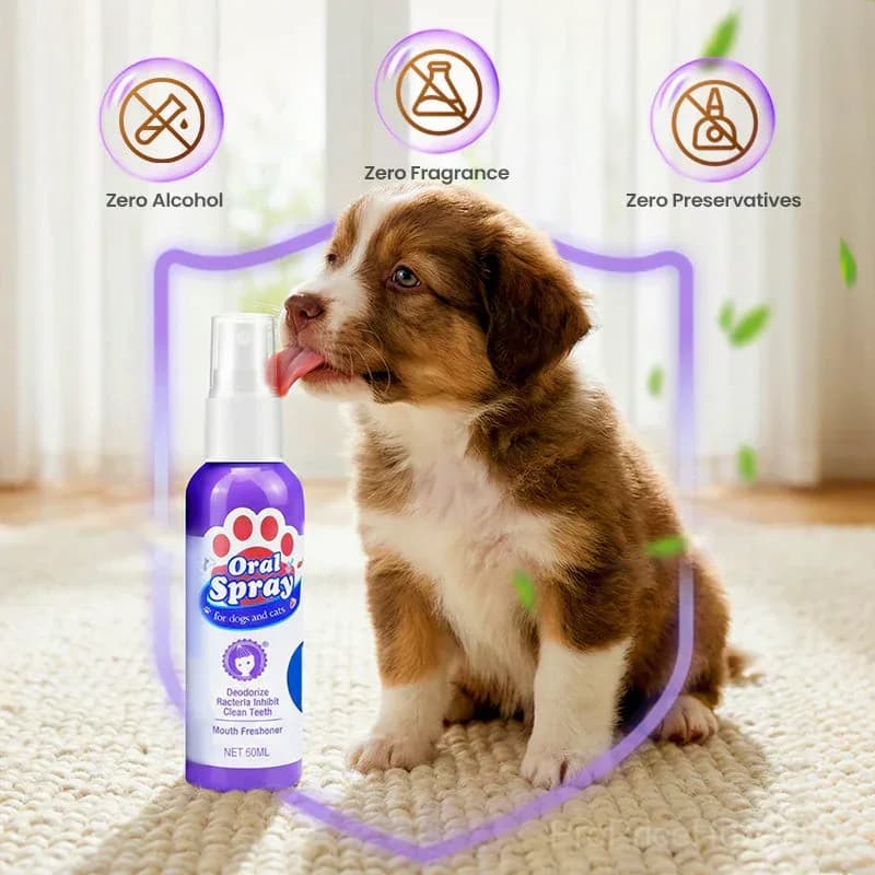 Pet Teeth Cleaning Spray – Fresh Breath & Plaque Control - View 6
