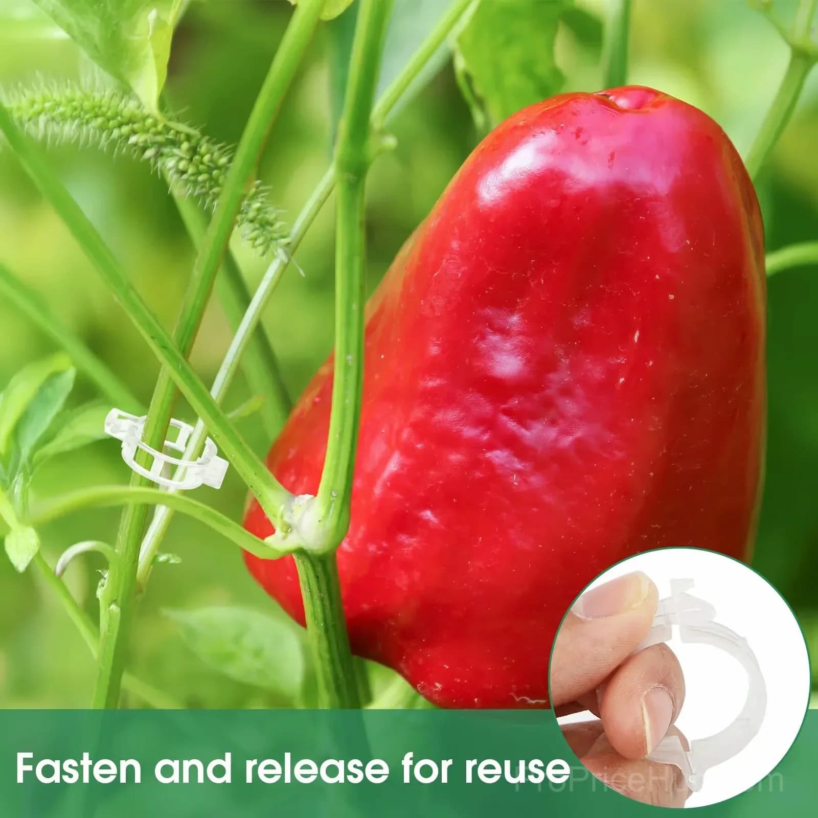 100-Pack Plastic Tomato Trellis Clips for Plant Support - View 7