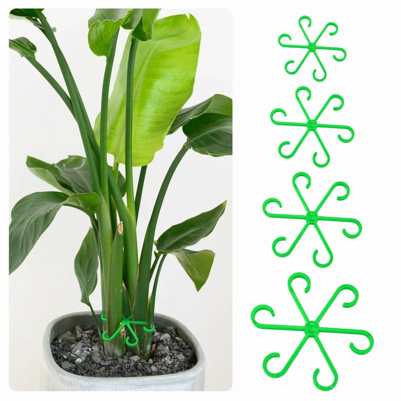 Black Plant Stem Support Set, 1 Set Garden Plant Supports - View 2
