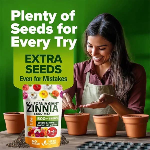 Zinnia Flower Seeds for Planting - View 5