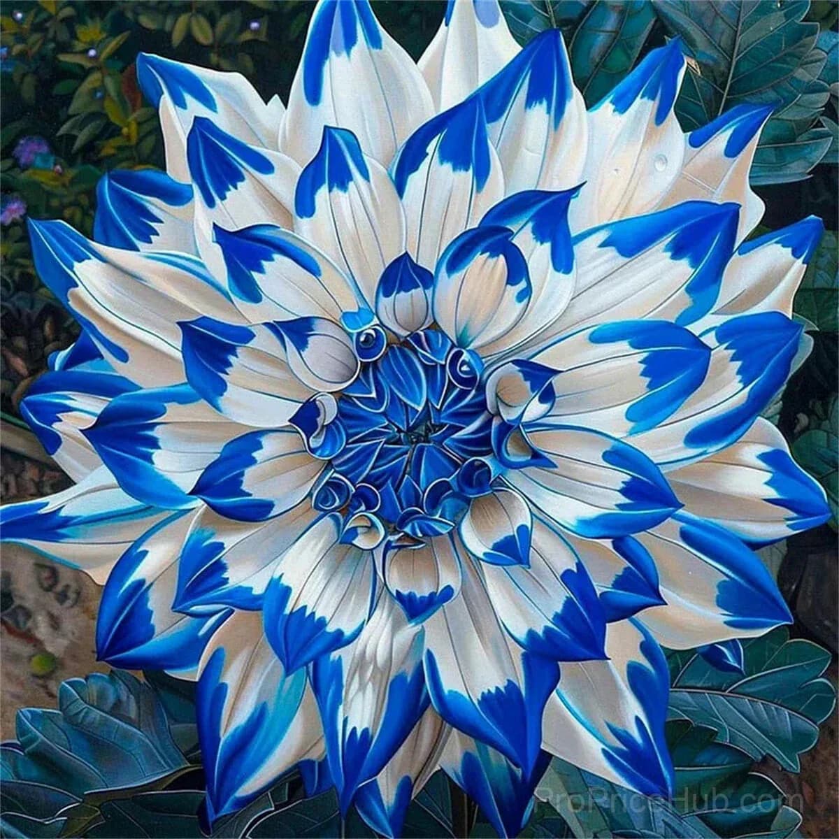 Rare Double Dahlias - Bold Lush Blooms for Unique Gardens - View 27