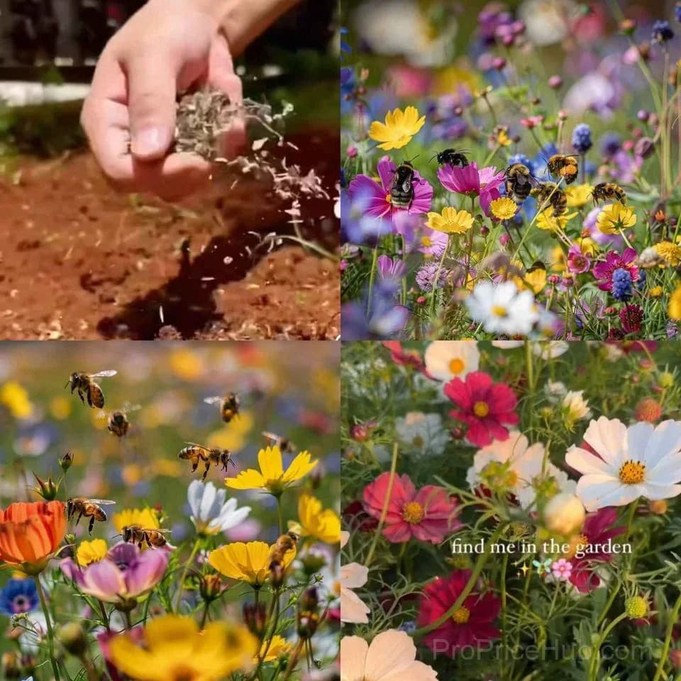 All-Season Mixed Perennial Flower Seeds – 90+ Varieties for Continuous Blooms - View 4