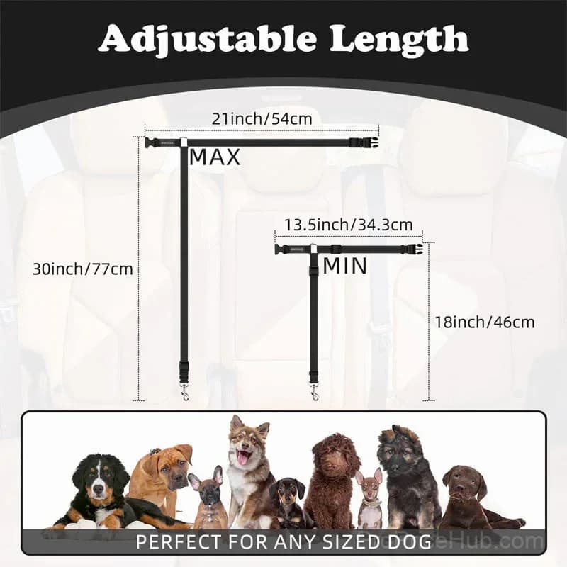 2-in-1 Dog Seatbelt and Leash - View 4