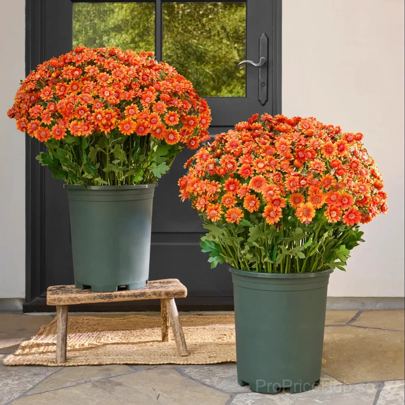 Artificial Outdoor Sunset Mums – UV-Resistant & Weatherproof detail