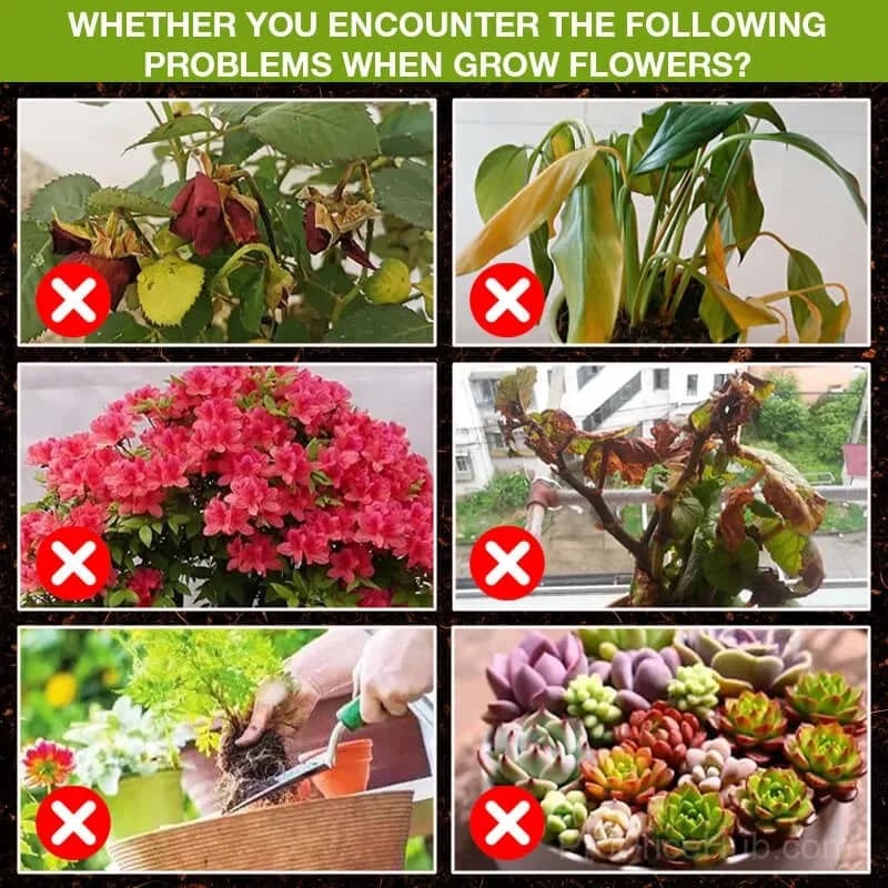 Plant Growth Enhancer Supplement - View 5