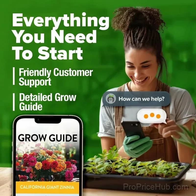 Zinnia Seeds - Heirloom, Pure, No Filler Flower Seeds - View 10
