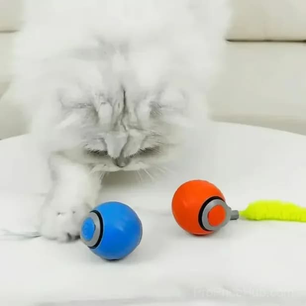 Interactive Electric Rolling Pet Toy Ball with Teasing Tail, Blue - View 6