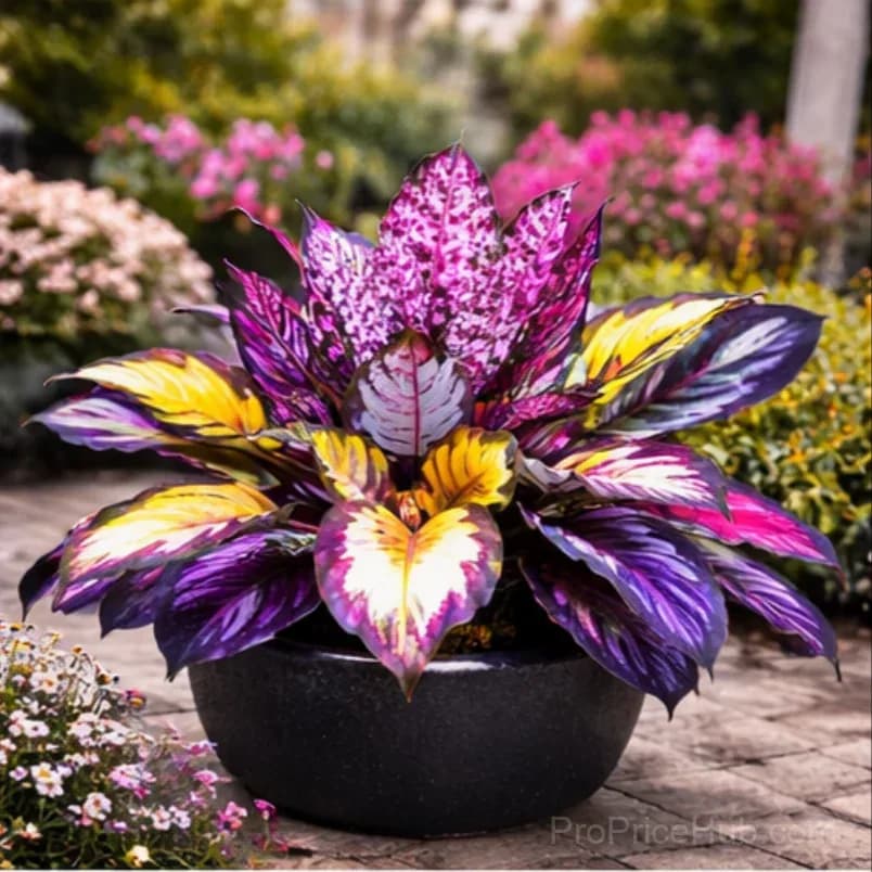 Hosta Bulbs for Shade - Easy Lush Perennial Growth - View 16