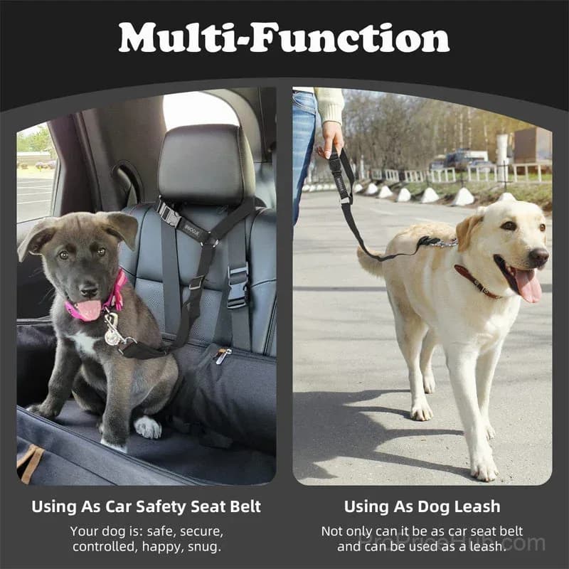 2-in-1 Dog Seatbelt and Leash - View 5
