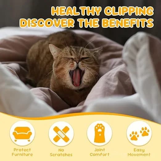Cat nail clippers, made of stainless steel, suitable for small pets such as cats, rabbits, and dogs. - View 2