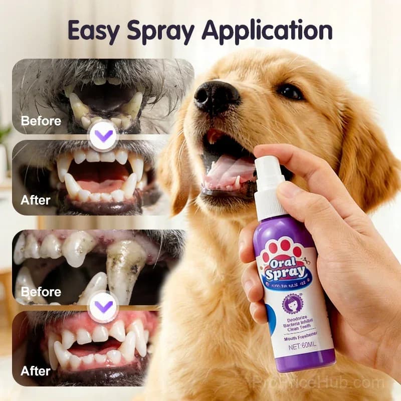 Pet Teeth Cleaning Spray – Fresh Breath & Plaque Control - View 8