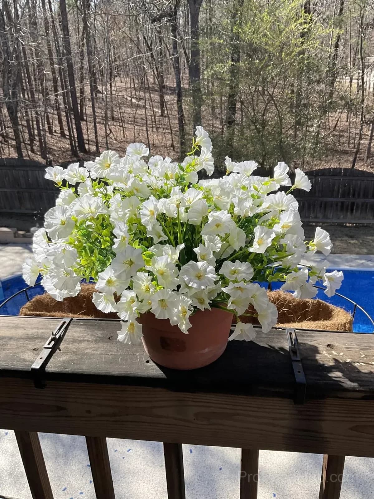 UV Resistant Artificial Petunias Flowers - View 36