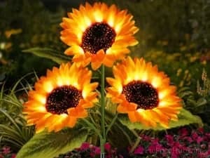Solar LED Sunflower Garden Lights, 29.6 Inch, Warm Glow Outdoor Decor - View 12