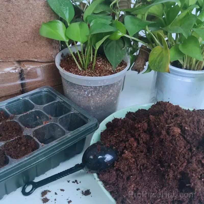 Organic Coconut Coir Bricks for Plants, 5 x 1.5 cm - View 12