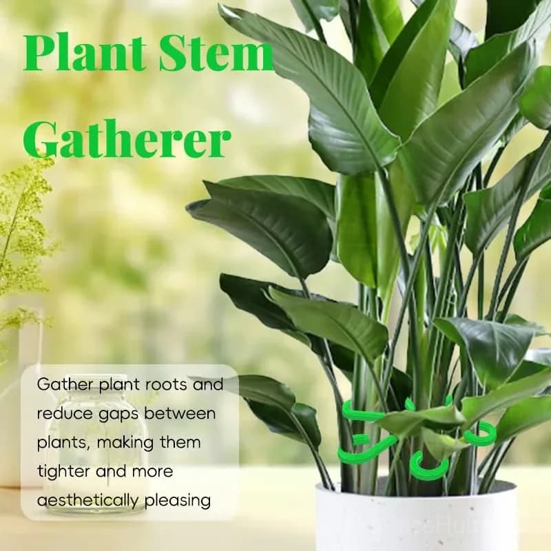 Black Plant Stem Support Set, 1 Set Garden Plant Supports - View 6