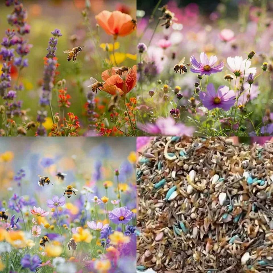 All-Season Mixed Perennial Flower Seeds – 90+ Varieties for Continuous Blooms - View 8