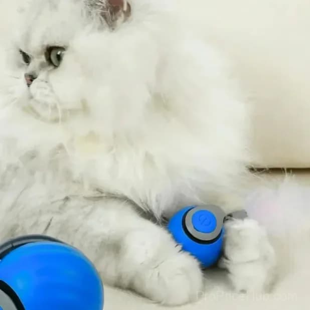 Interactive Electric Rolling Pet Toy Ball with Teasing Tail, Blue - View 7