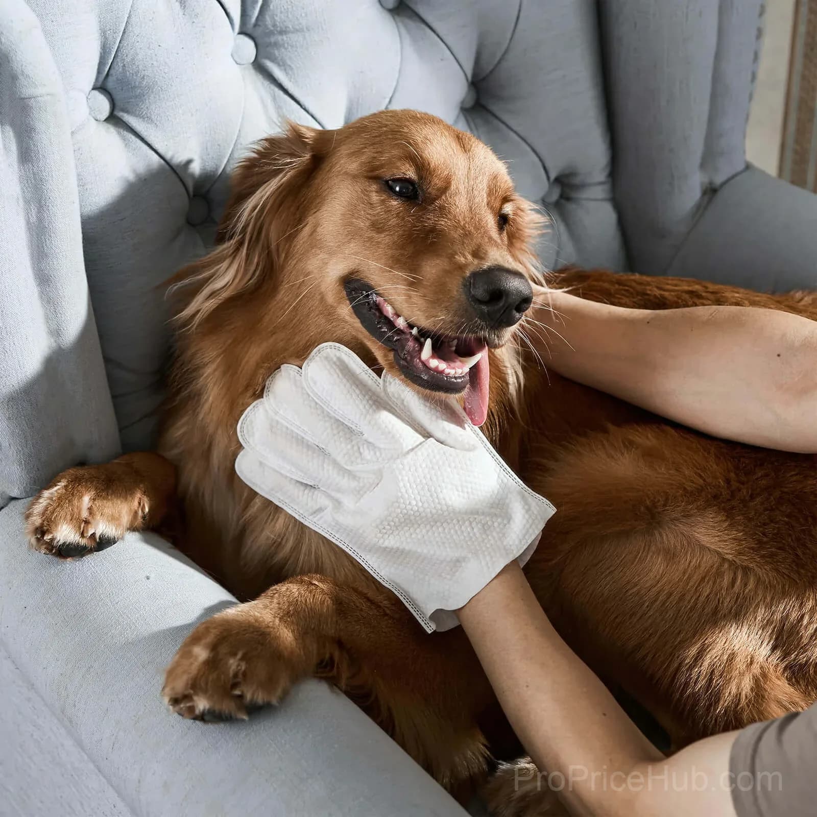 Deodorizing Pet Glove Wipes for Dogs, 6 Count - View 7