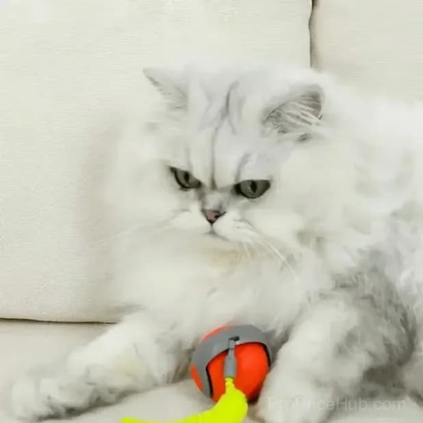 Interactive Electric Rolling Pet Toy Ball with Teasing Tail, Blue - View 8
