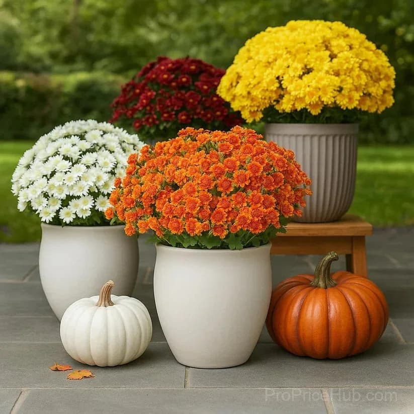 Artificial Outdoor Sunset Mums – UV-Resistant & Weatherproof detail