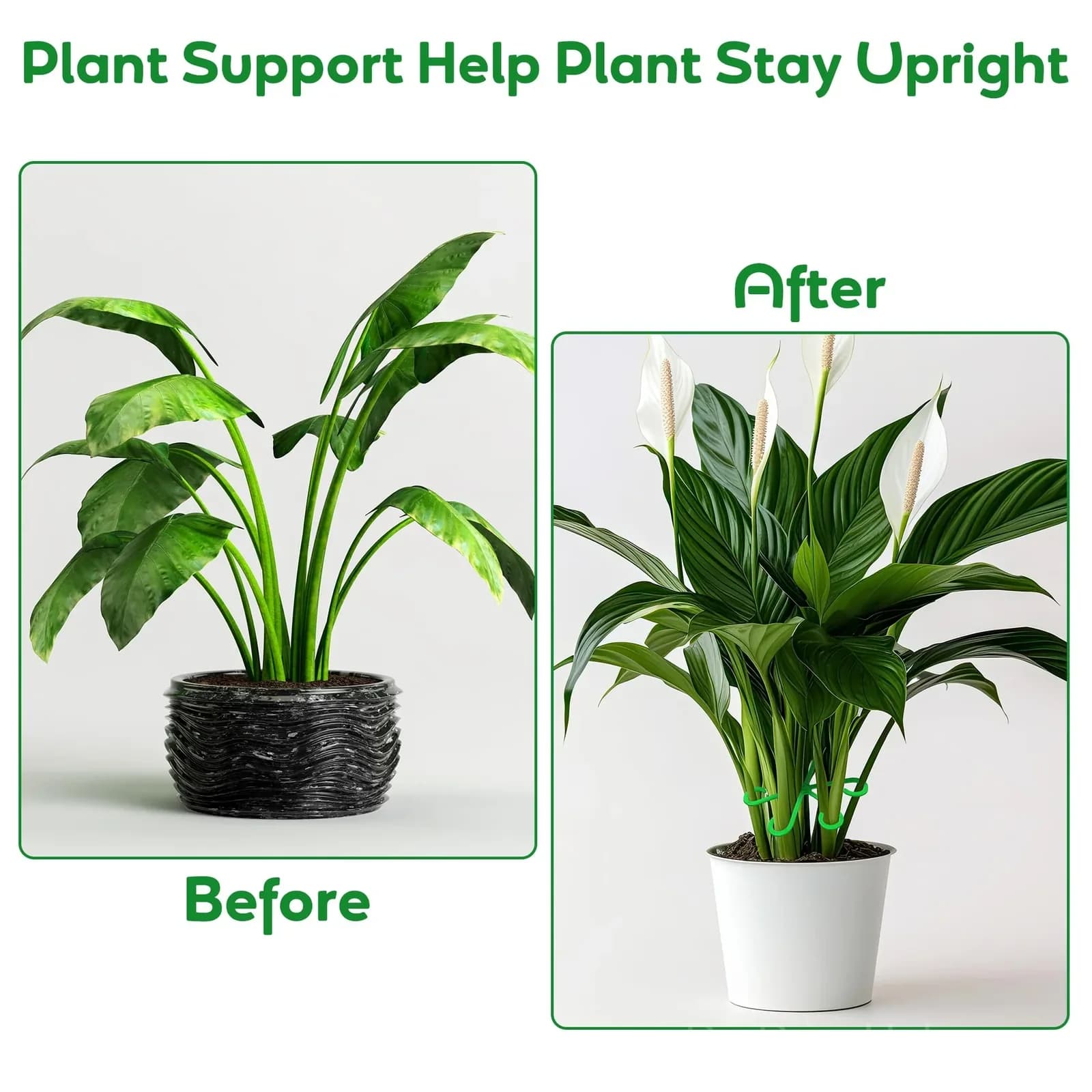 Black Plant Stem Support Set, 1 Set Garden Plant Supports - View 5