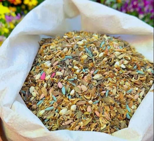 All-Season Mixed Perennial Flower Seeds – 90+ Varieties for Continuous Blooms - View 6