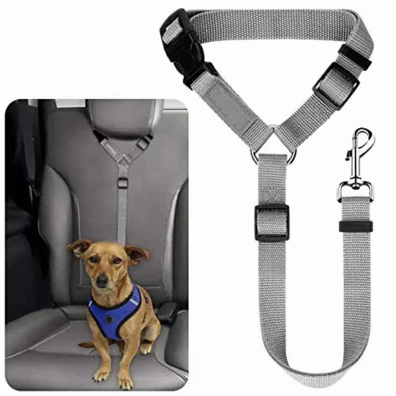 2-in-1 Dog Seatbelt and Leash - View 14