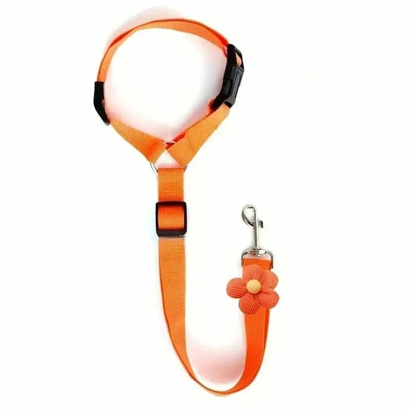 2-in-1 Dog Seatbelt and Leash - View 13