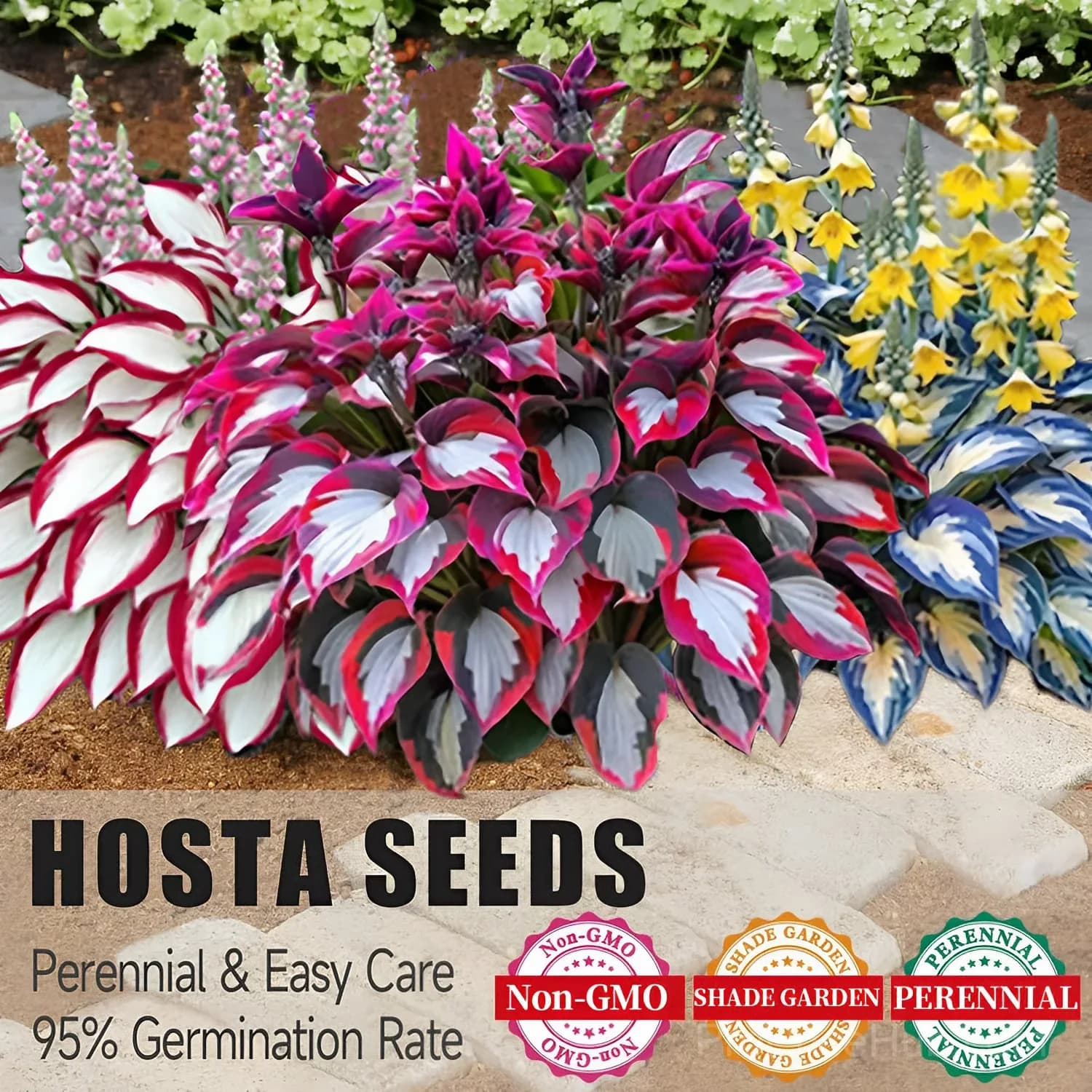 Turn Dead Corners Into a Lush Garden Paradise – Shade-Tolerant Seeds - View 4